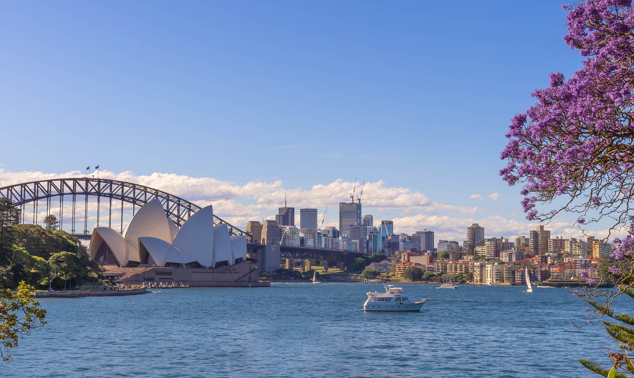 Australia Property Market Review August 2026